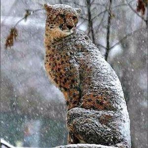 Meet your Posher, Omar